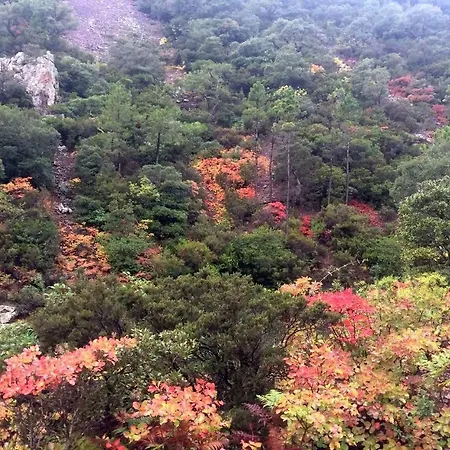 Résidence Nautilus * Saint-Raphaël