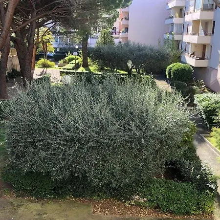 Apartment Le Nautilus *