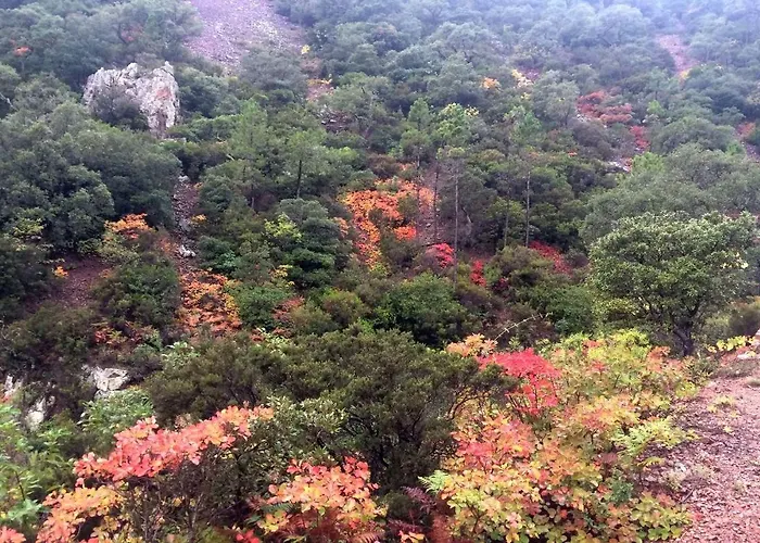 Nautilus * Saint-Raphaël